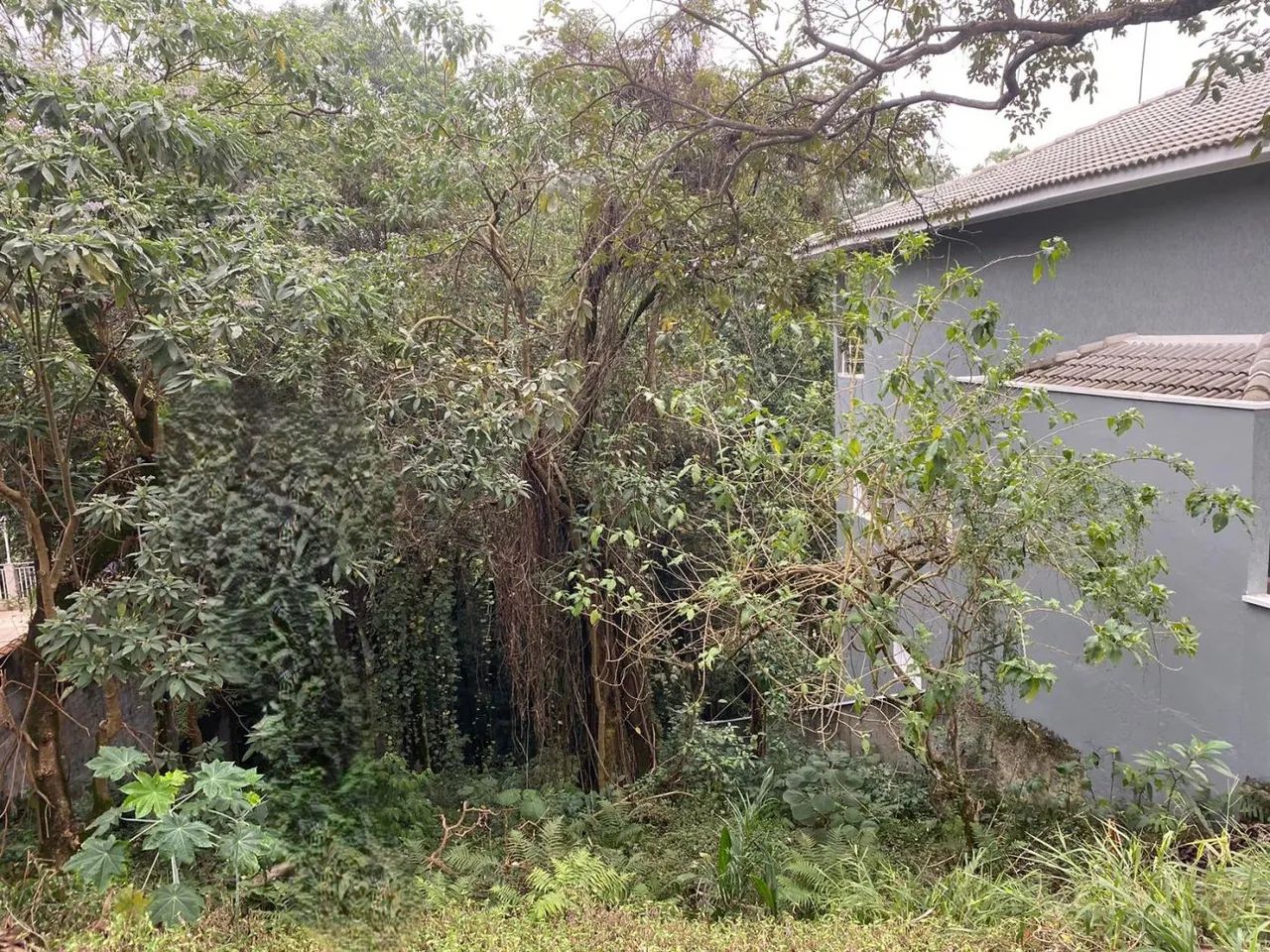 Terreno em Condomínio para Venda em Santana de Parnaíba, Tarumã - Foto 3