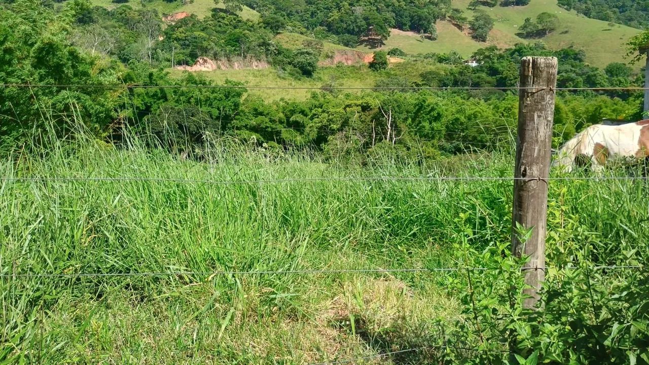 VENDO LINDO TERRENO DEPOIS DA SERIACA-GLICÉRIO - Foto 2