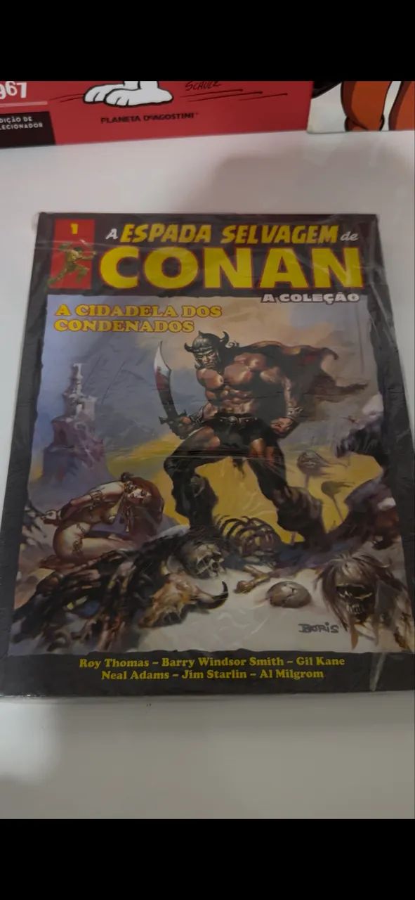A ESPADA SELVAGEM DE CONAN - A COLEÇÃO CAPA DURA 01 2019       