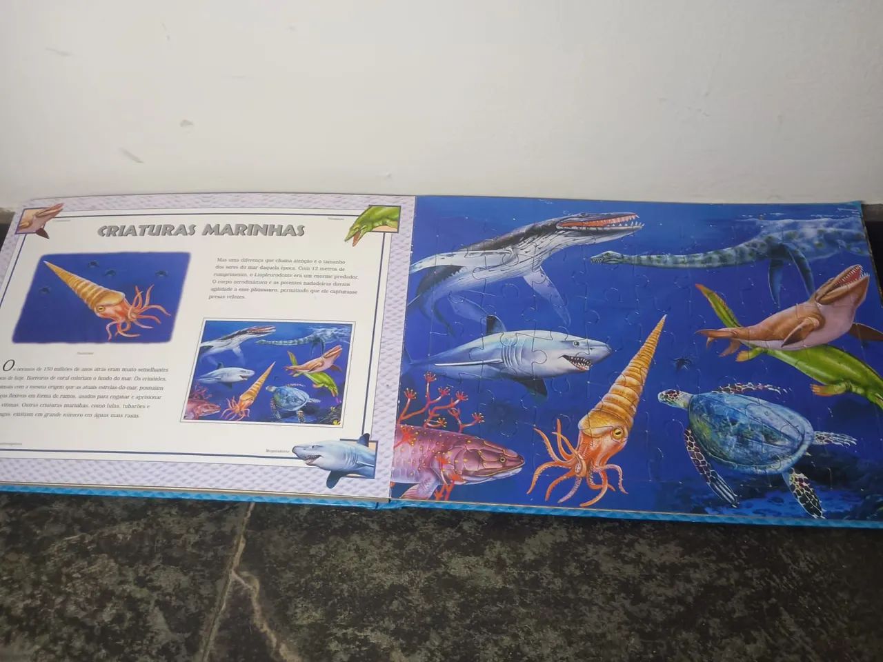 Quebra-cabeças Dinossauros - 48 peças - Foto 6