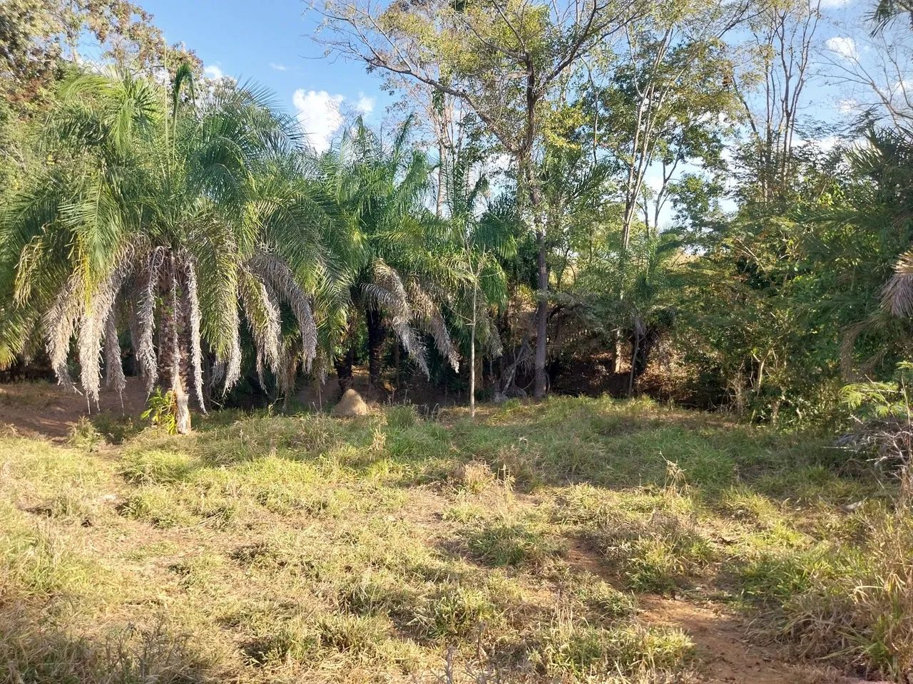 Chácara a Venda em Fazenda Nova go - Foto 7