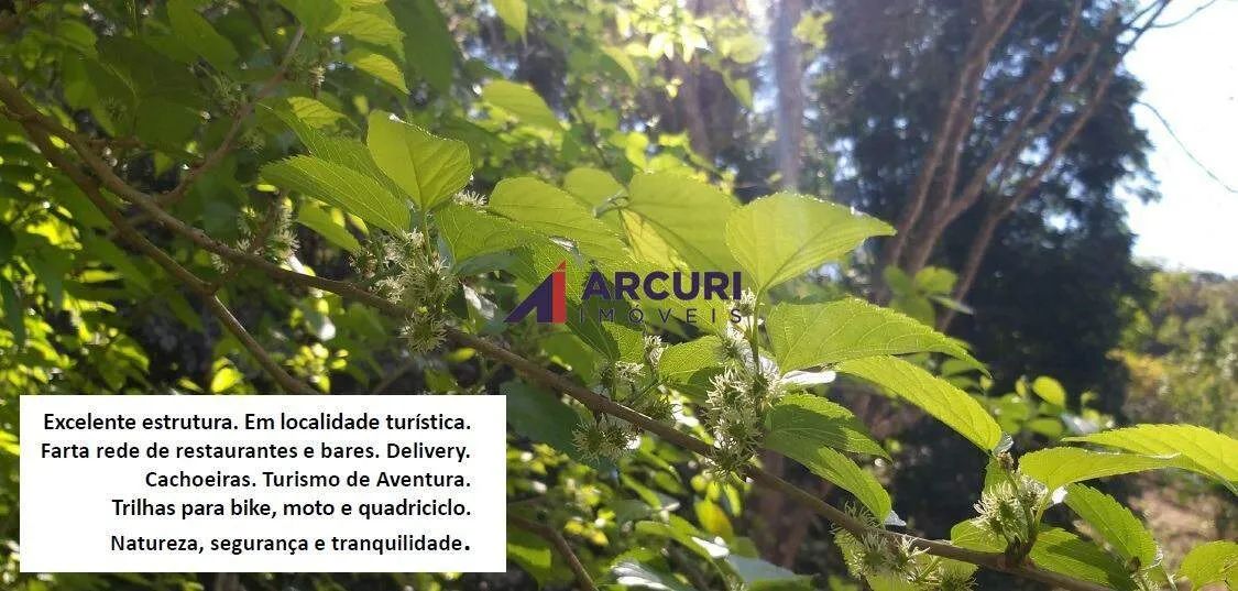 Sítio 70.000 m² Macacos (Nova Lima) - Venda - Foto 3