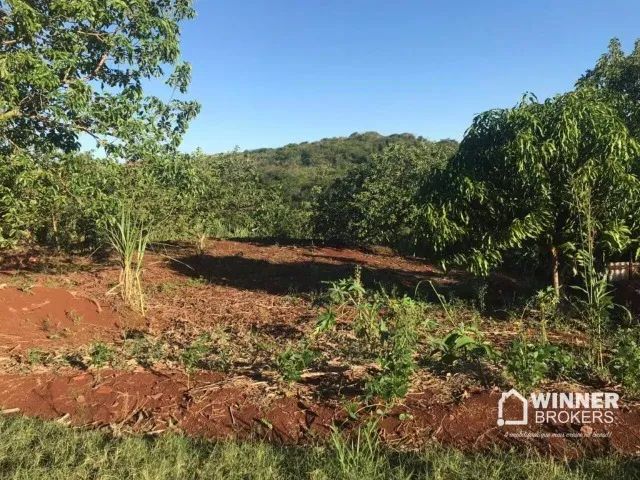 Chácara 3.000m2 - Foto 4