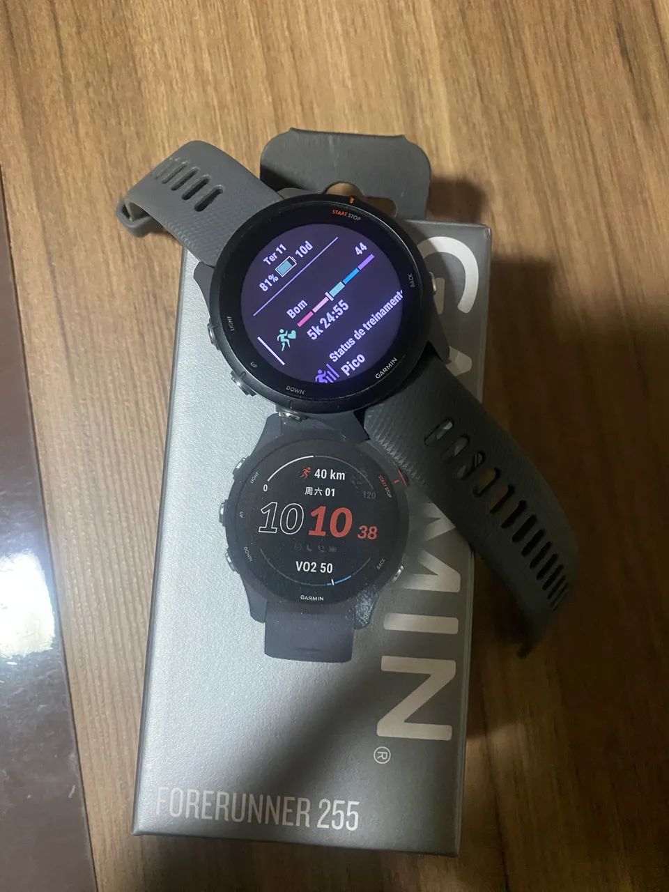 Garmin fr 255