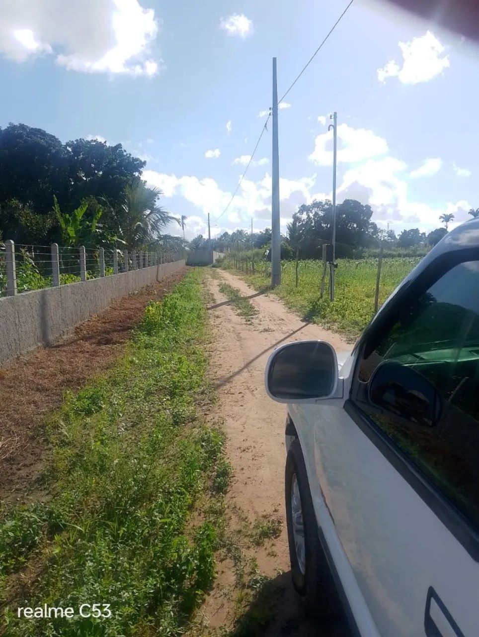 Meia tarefa de terra em são domingos  - Foto 4