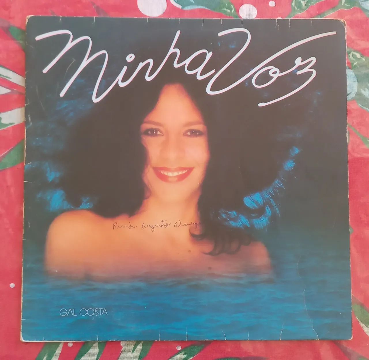 VENDO LP DISCO VINIL GAL COSTA MINHA VOZ 