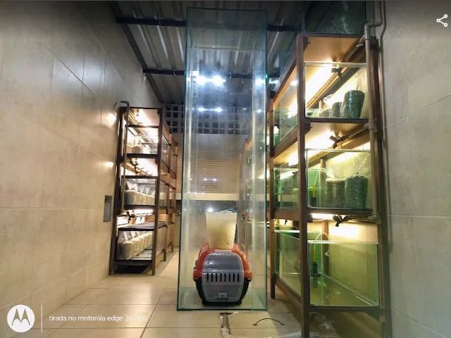 Estrutura Completa para Loja de Aquarismo e Pet Shop - Aquários, Estantes e Equipamentos - Foto 5