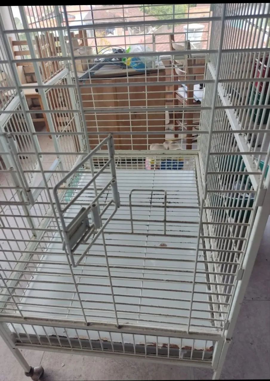 Large Aviary473663770785884163