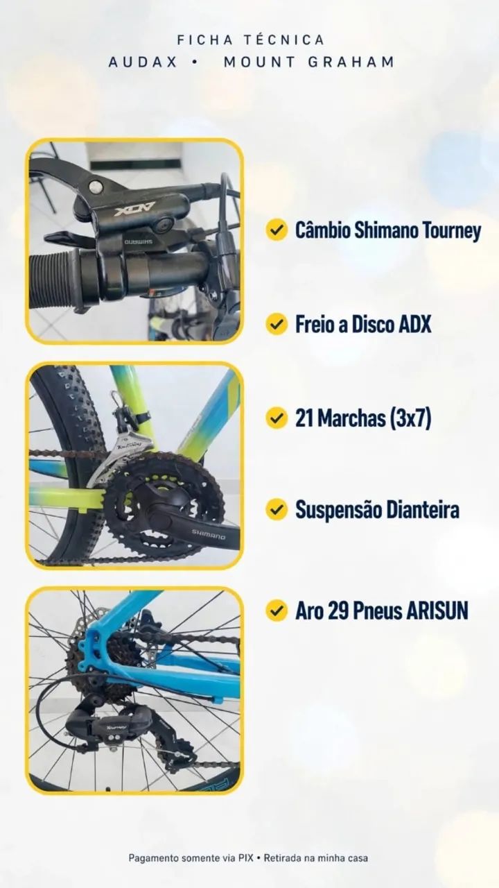 Bicicleta Audax  - Foto 2
