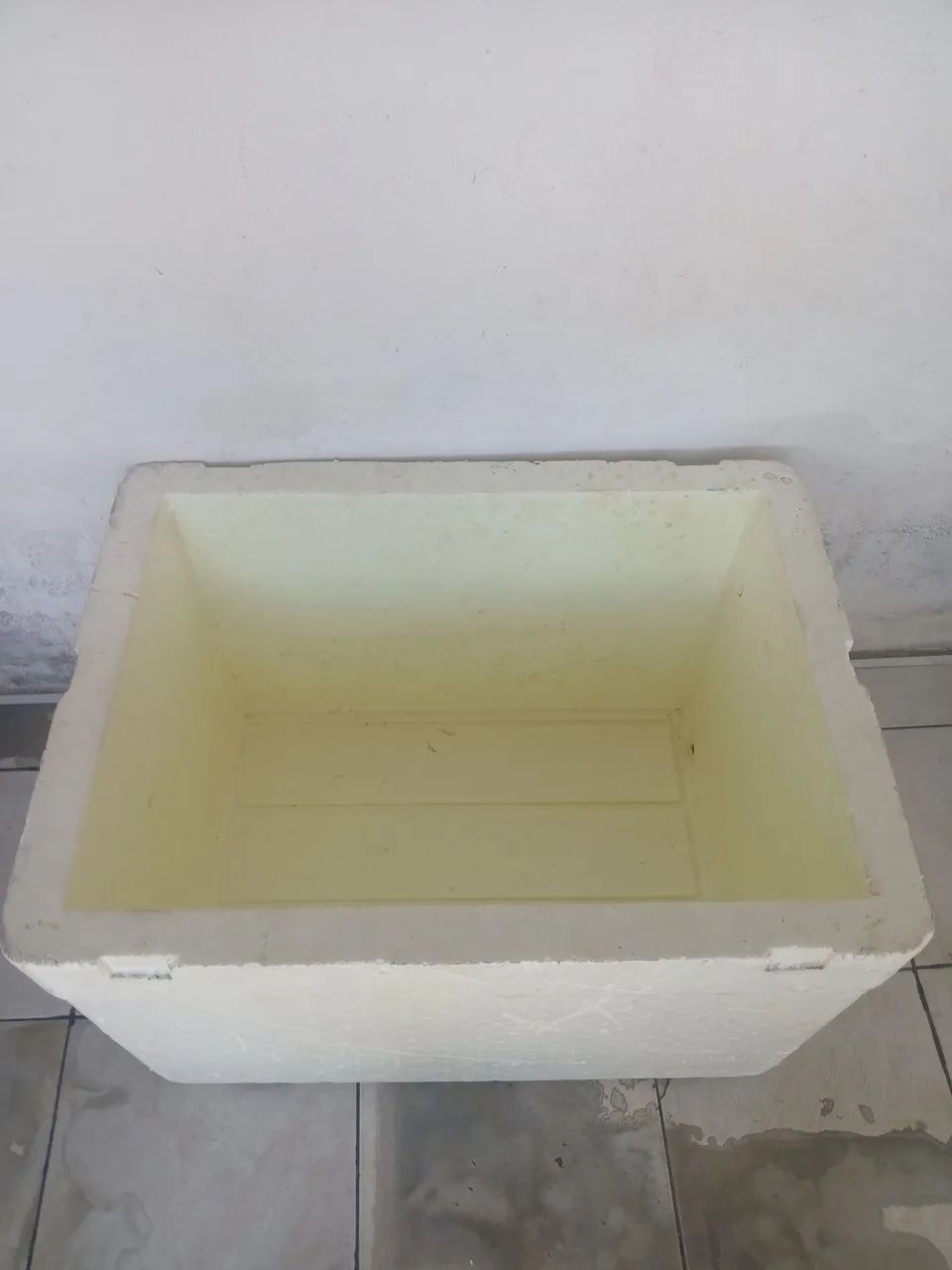 Insulated Cooler for Perishables427577042472151043