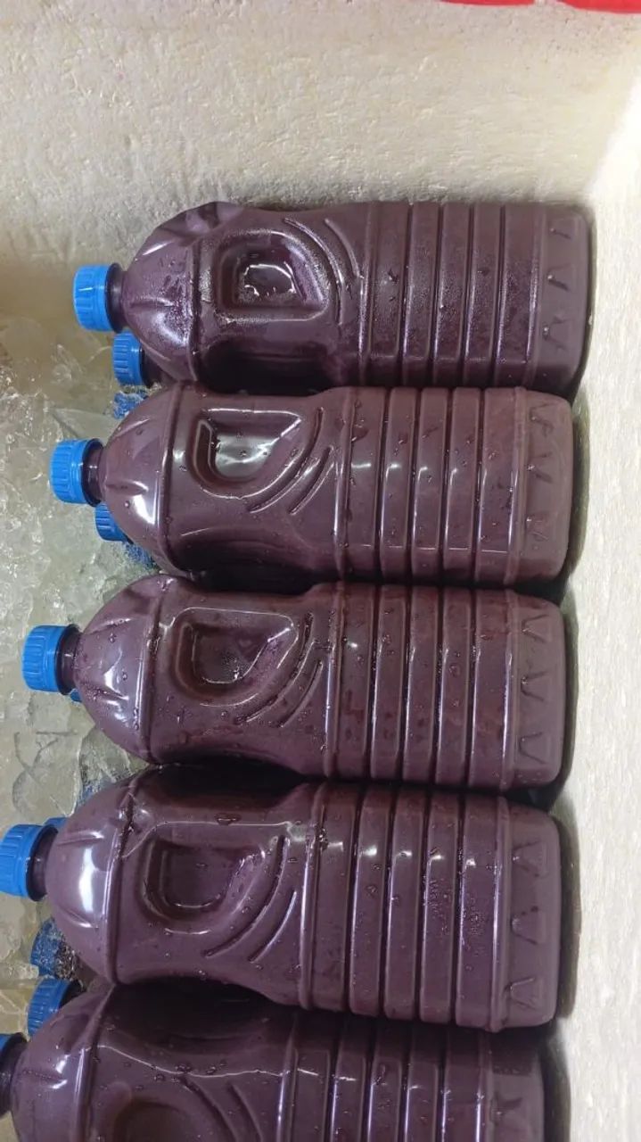 Açaí de manaquiri 