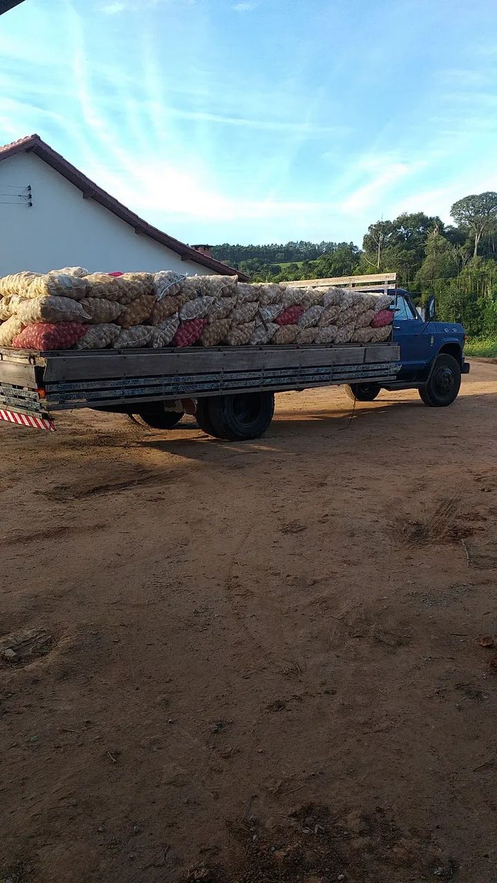 Chevrolet D60 - Foto 2