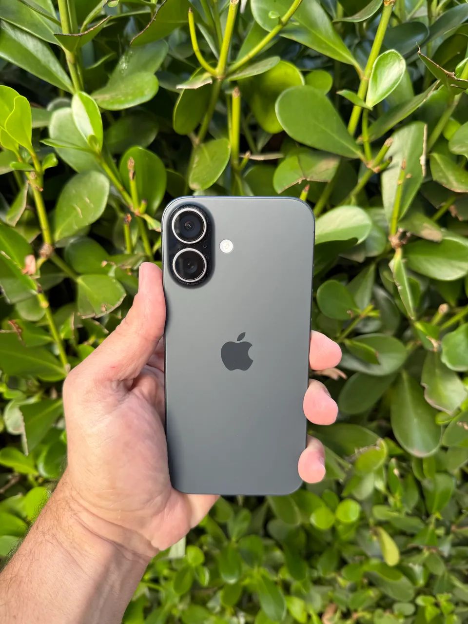 iPhone 17 256gb garantia até 12/26 