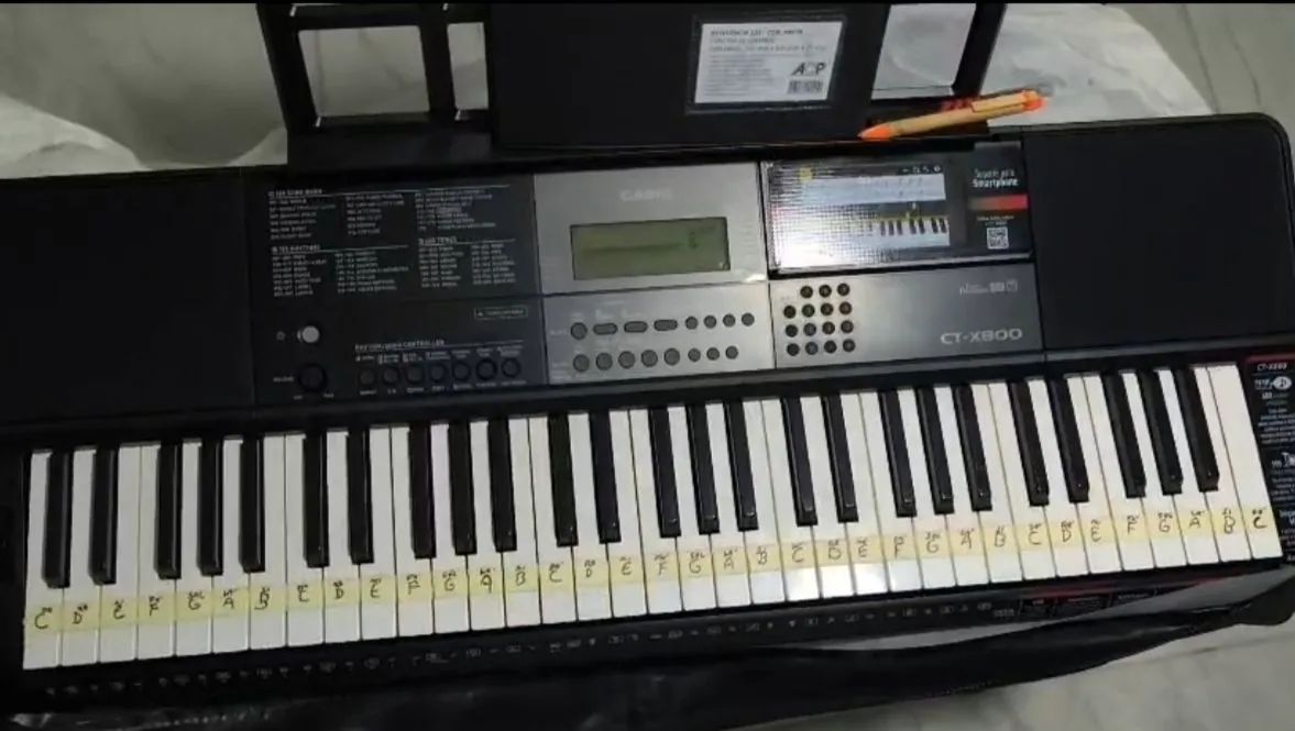 Teclado Casio ct-x800