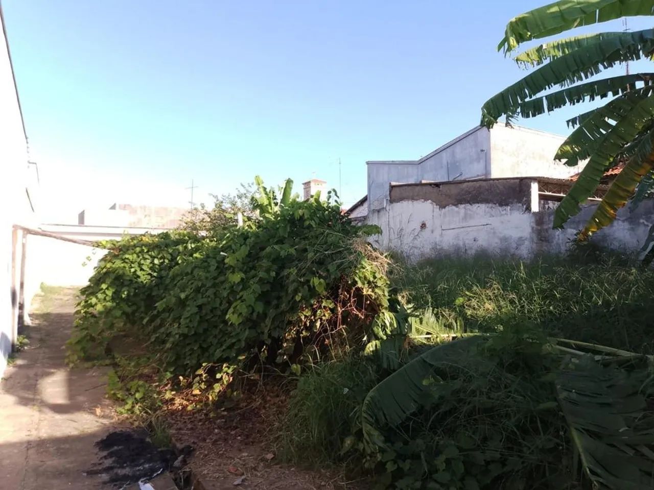 Terreno à venda em Sumaré, Centro - Foto 4
