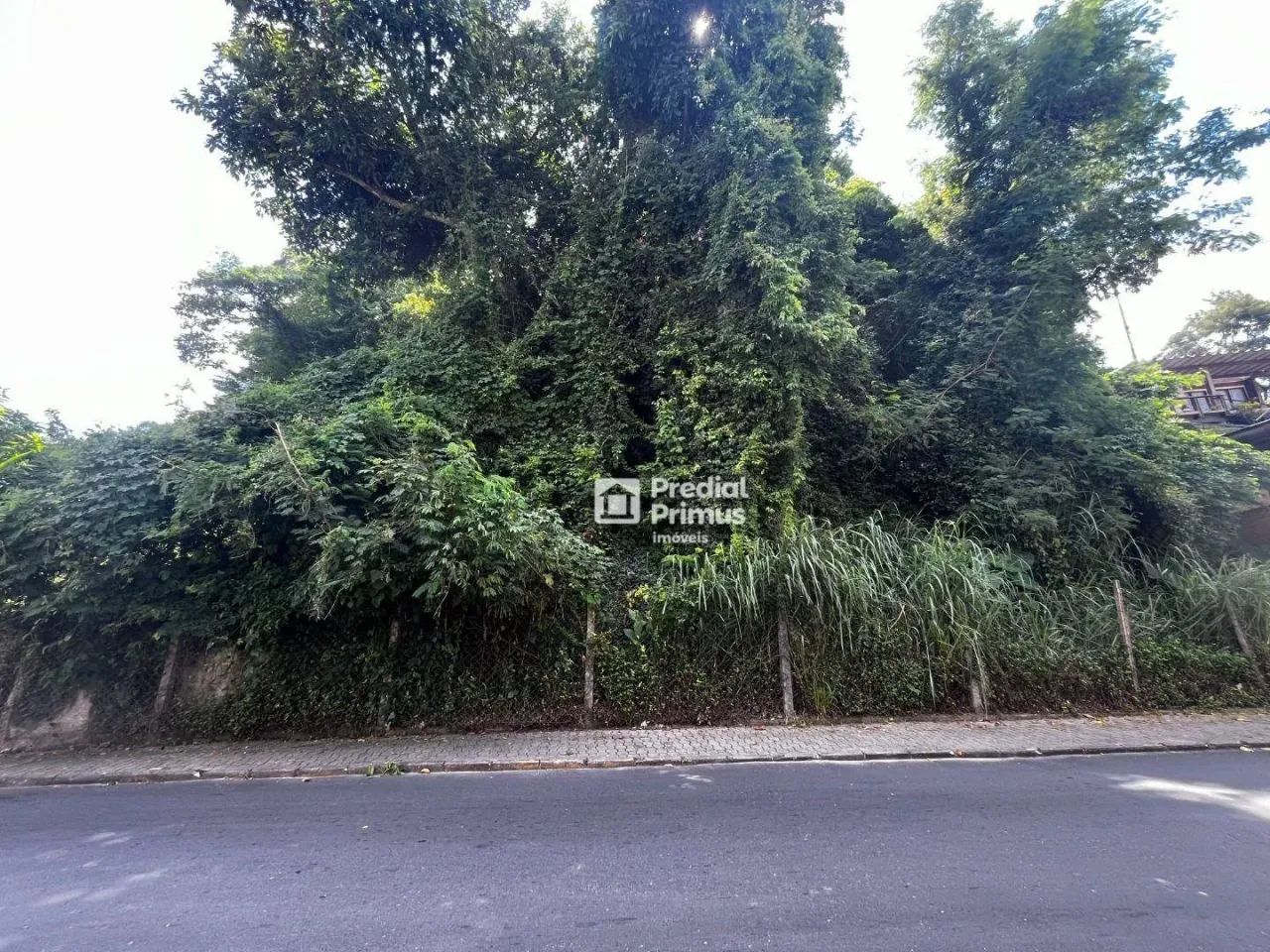 Invista no Centro da Cidade  Terreno com Potencial de Expansão - Foto 3