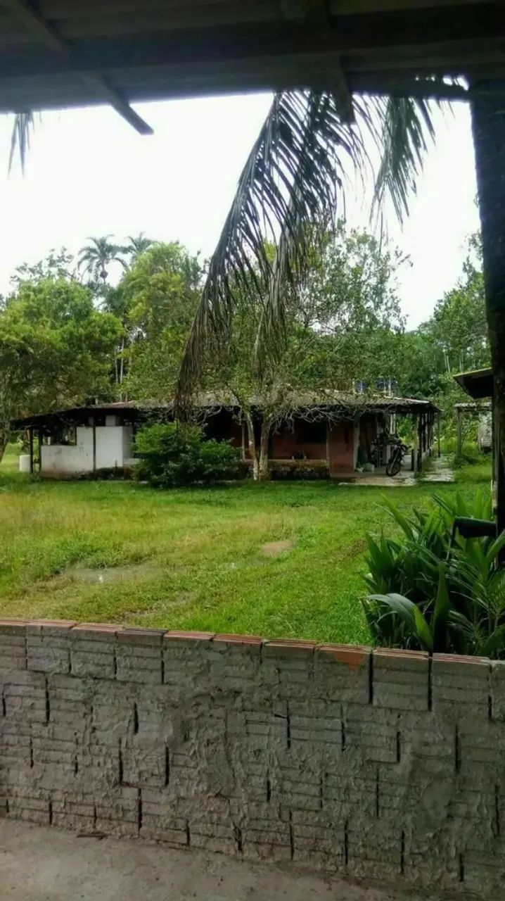 VENDO SÍTIO EM RIO PRETO DA EVA COM 27.500 METROS - Foto 3