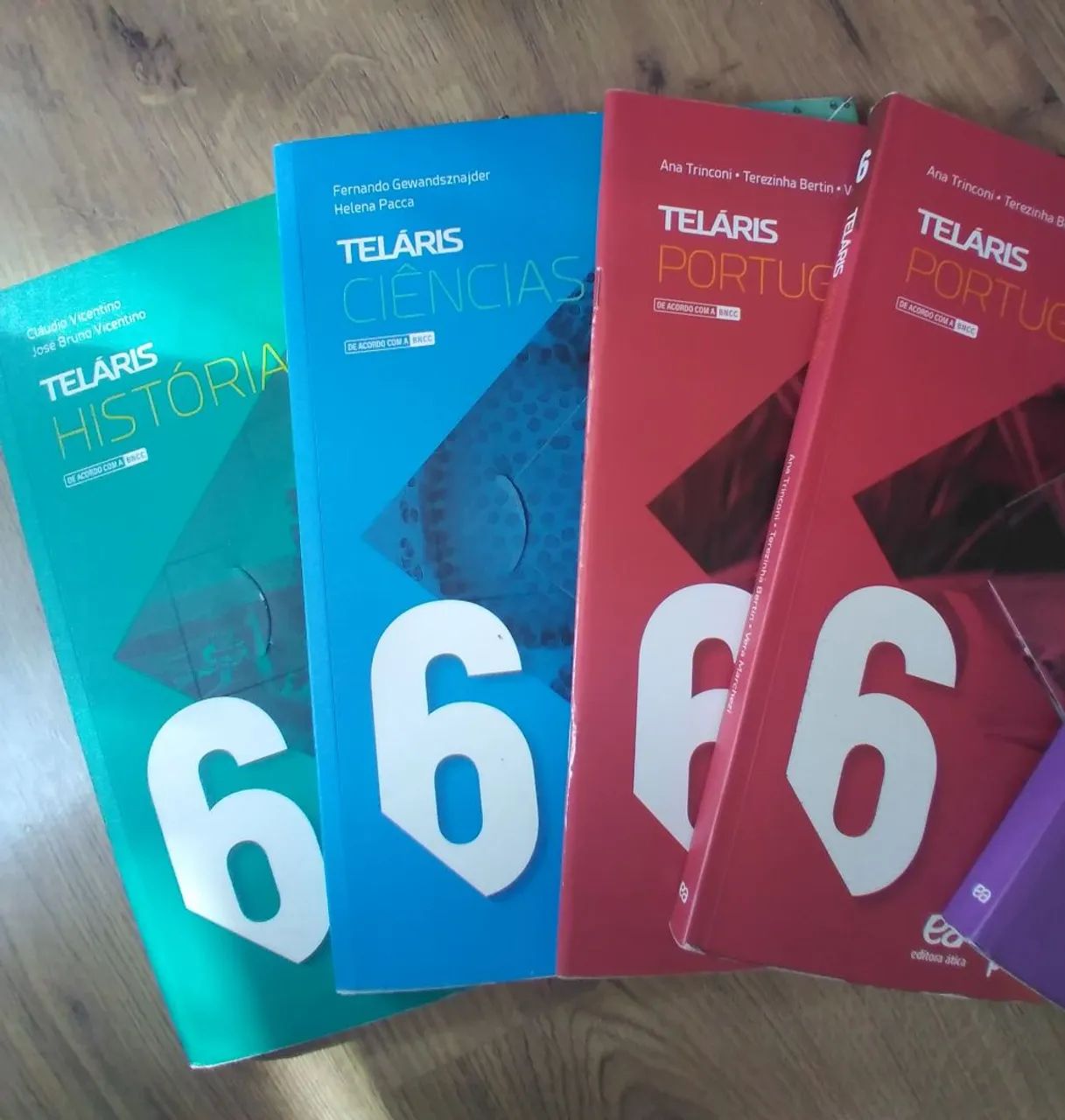 Teláris 6° ano  - Foto 4