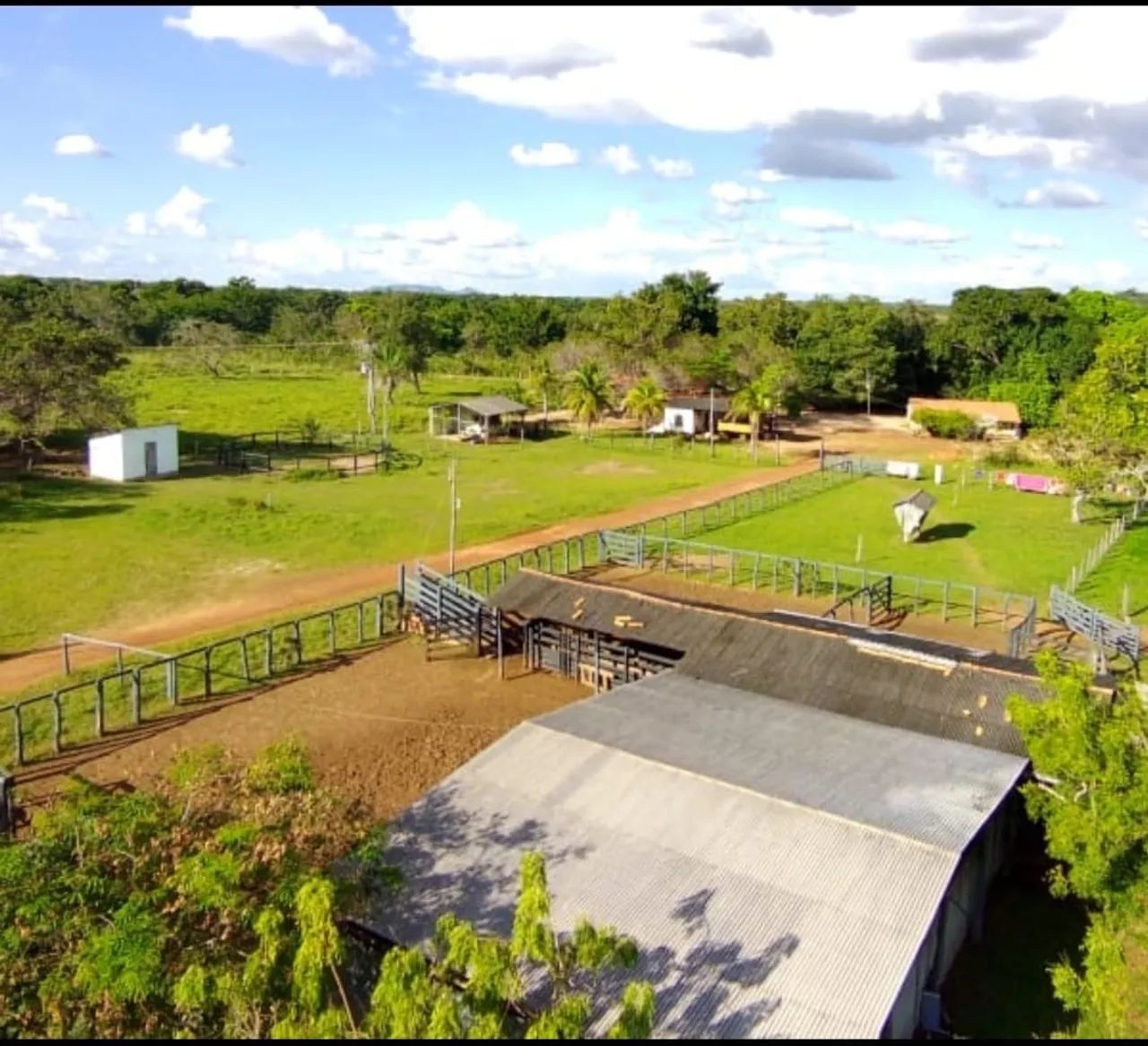 FAZENDAS PARA VENDA NO MARANHAO PARA E TOCANTINS - Foto 5