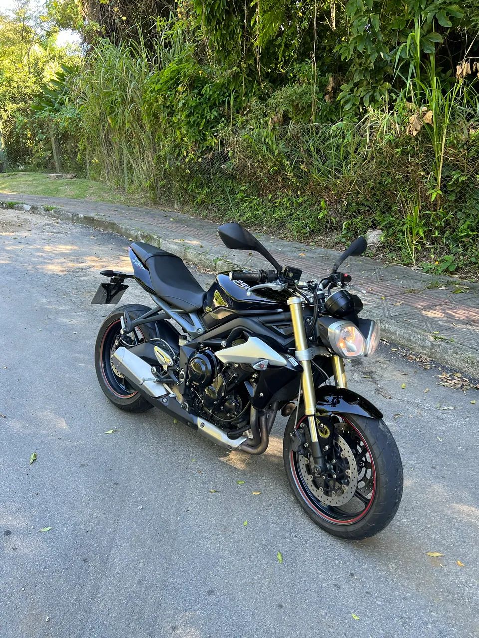 Triumph street triple 675 