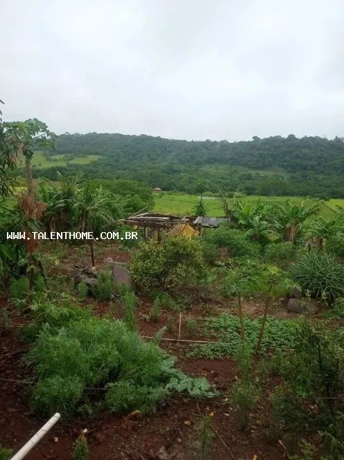 Chácara para Venda em Jataizinho - Foto 2