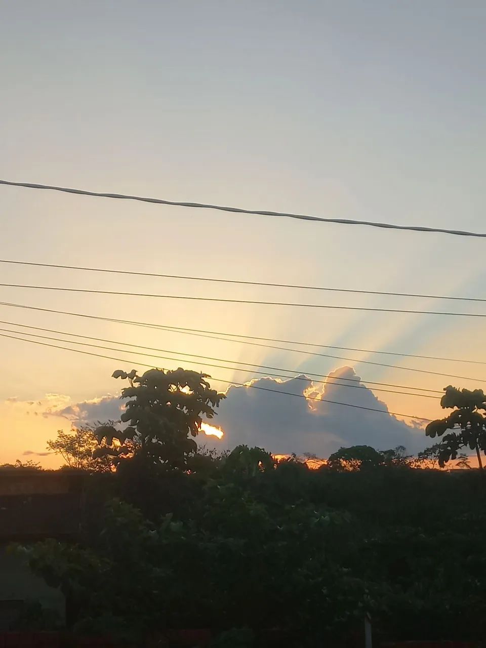Chacara próximo do bujari 