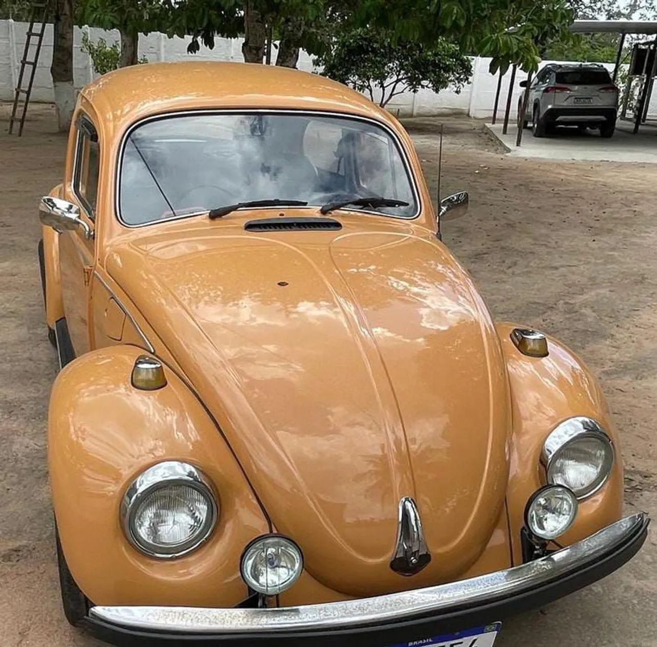 Volkswagen Fusca Fusca (gasolina) 1978