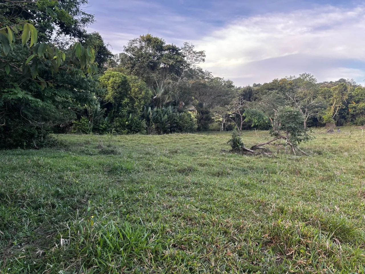 Vendo chácara bem localizada! - Foto 4