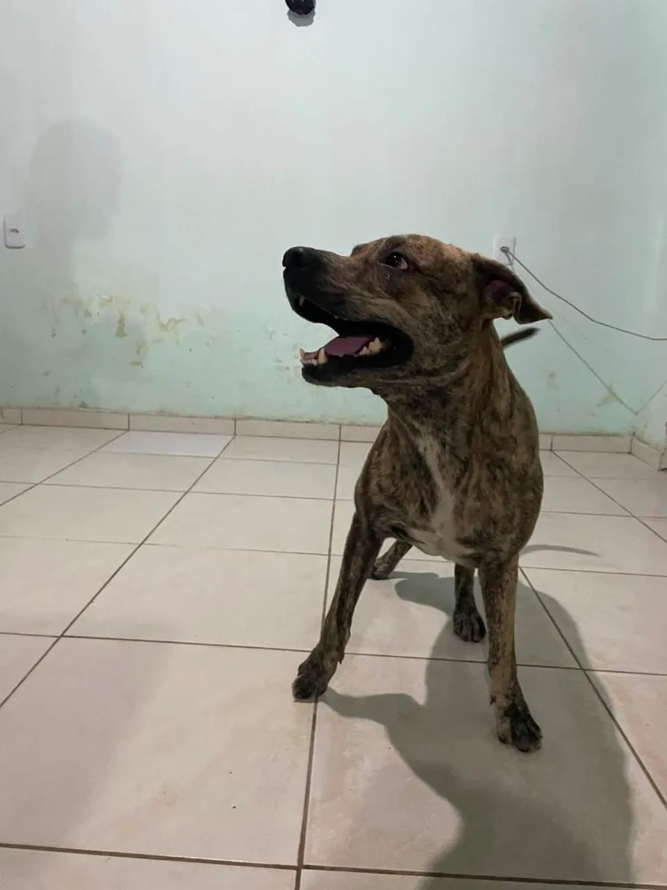 Doação  - Foto 3