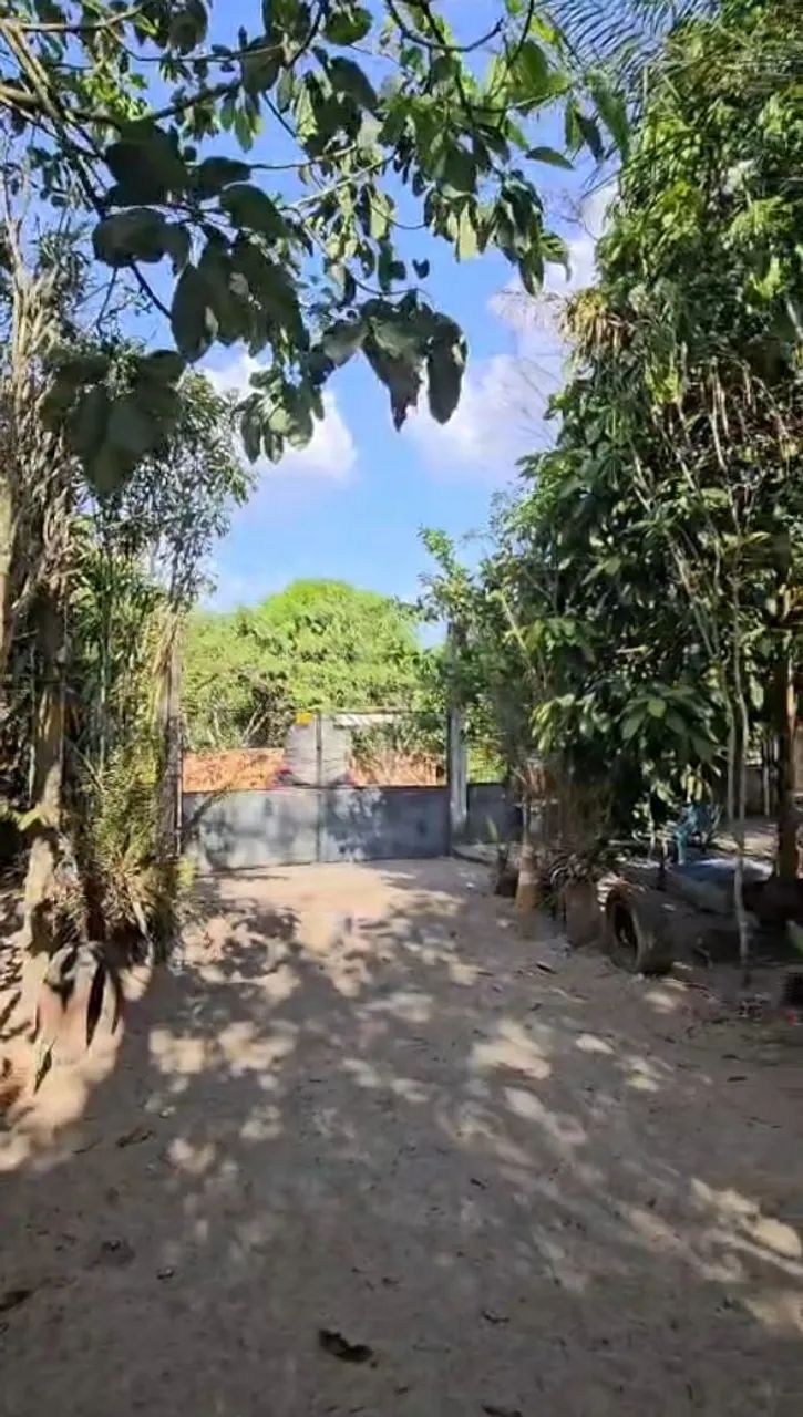 Sítio com uma casa e três kitinetes  - Foto 4