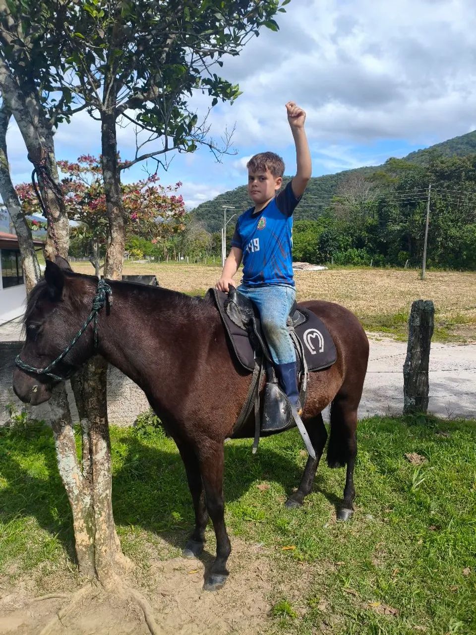 Petiça de confiança  - Foto 2
