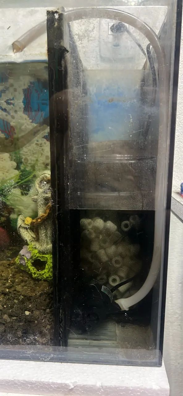 VENDO AQUÁRIO COMPLETO 