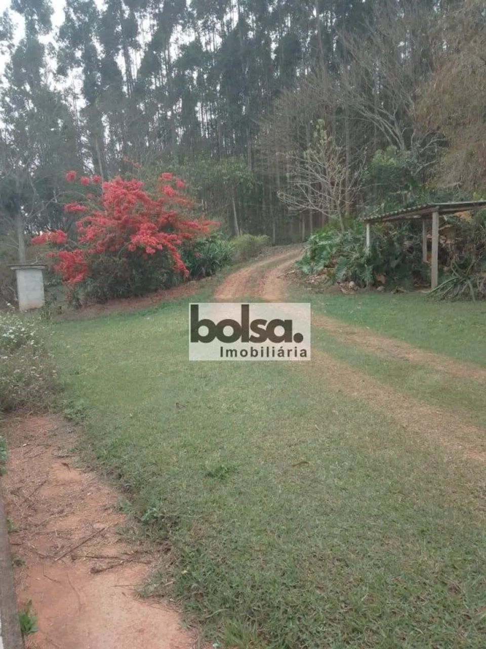 LINDO SITIO EM CAMPO DO MEIO MG. ! ! - Foto 4