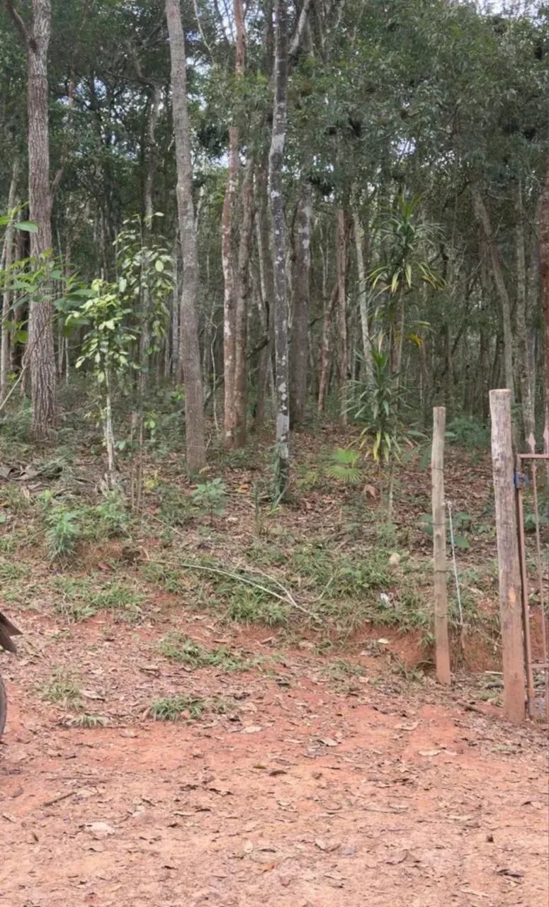 VENDO LOTES COM PREÇO IMPERDÍVEL (LEIA A DESCRIÇÃO) - Foto 3