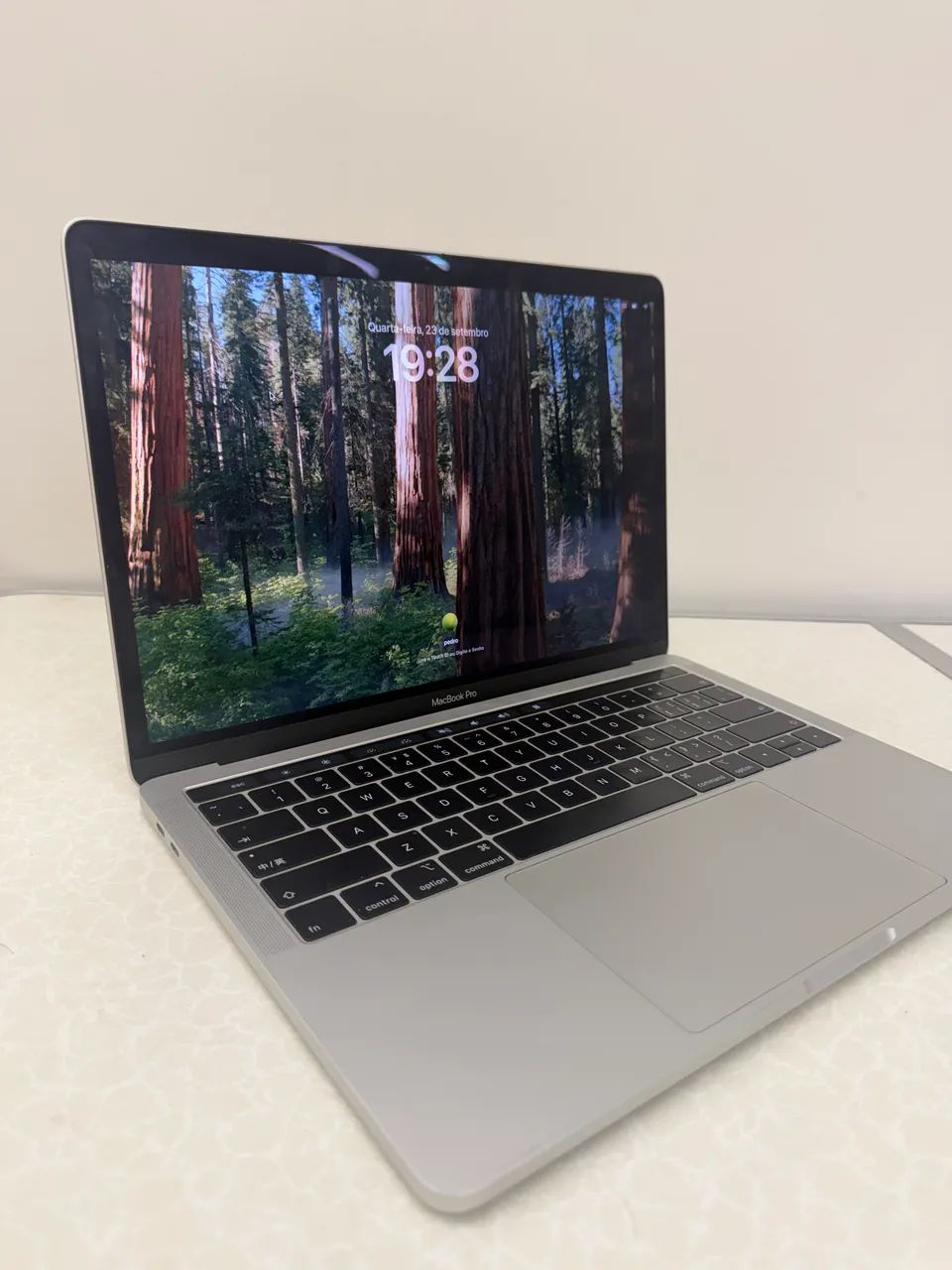 MacBook Pro 2019 13? Intel i5 8GB / 256GB