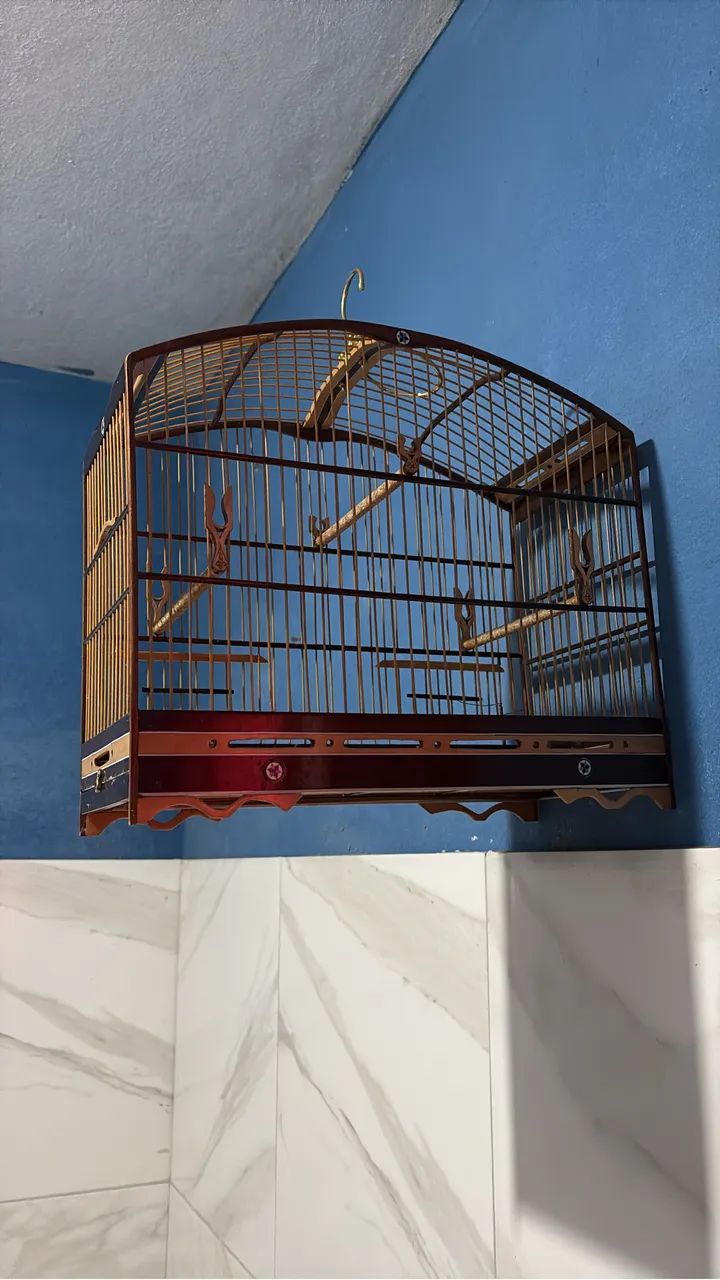 Vendo gaiola Semino estado de Nova