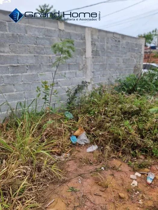 Terreno em Ponta da Fruta - Foto 4