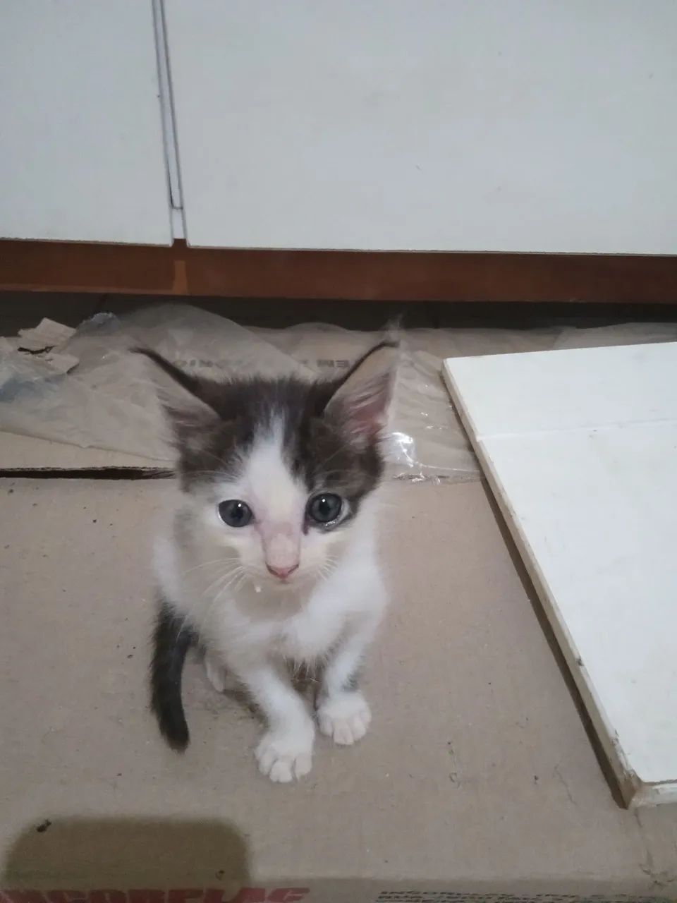 Um lindo bebê  - Foto 3
