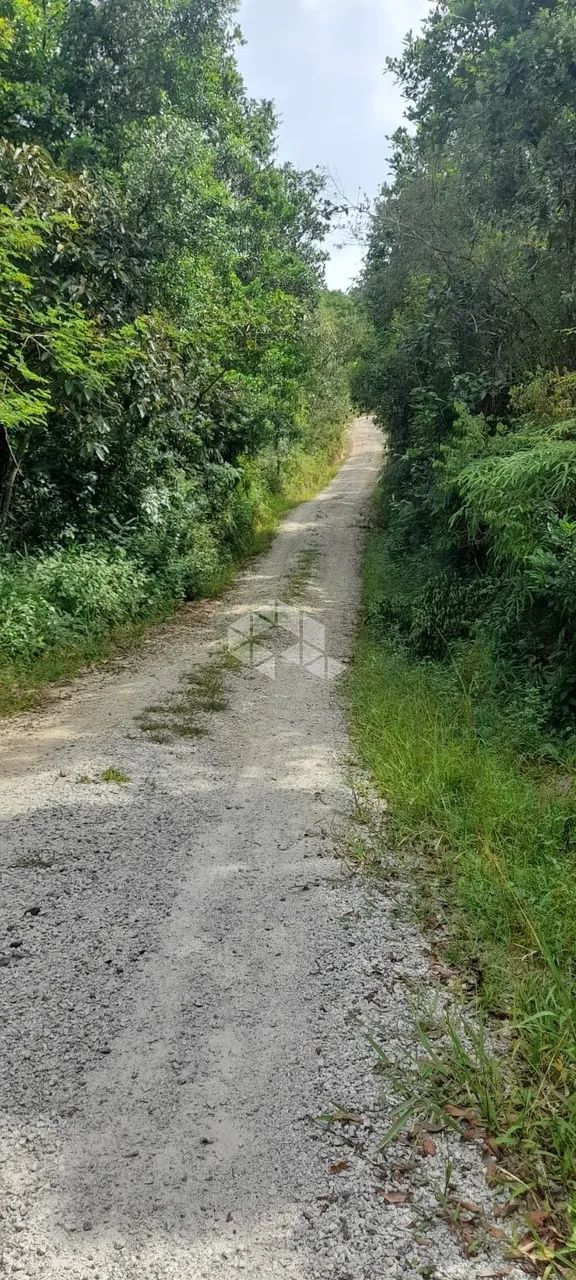 Sítio no bairro Fazendinha, em Biguaçu - SC - Foto 2