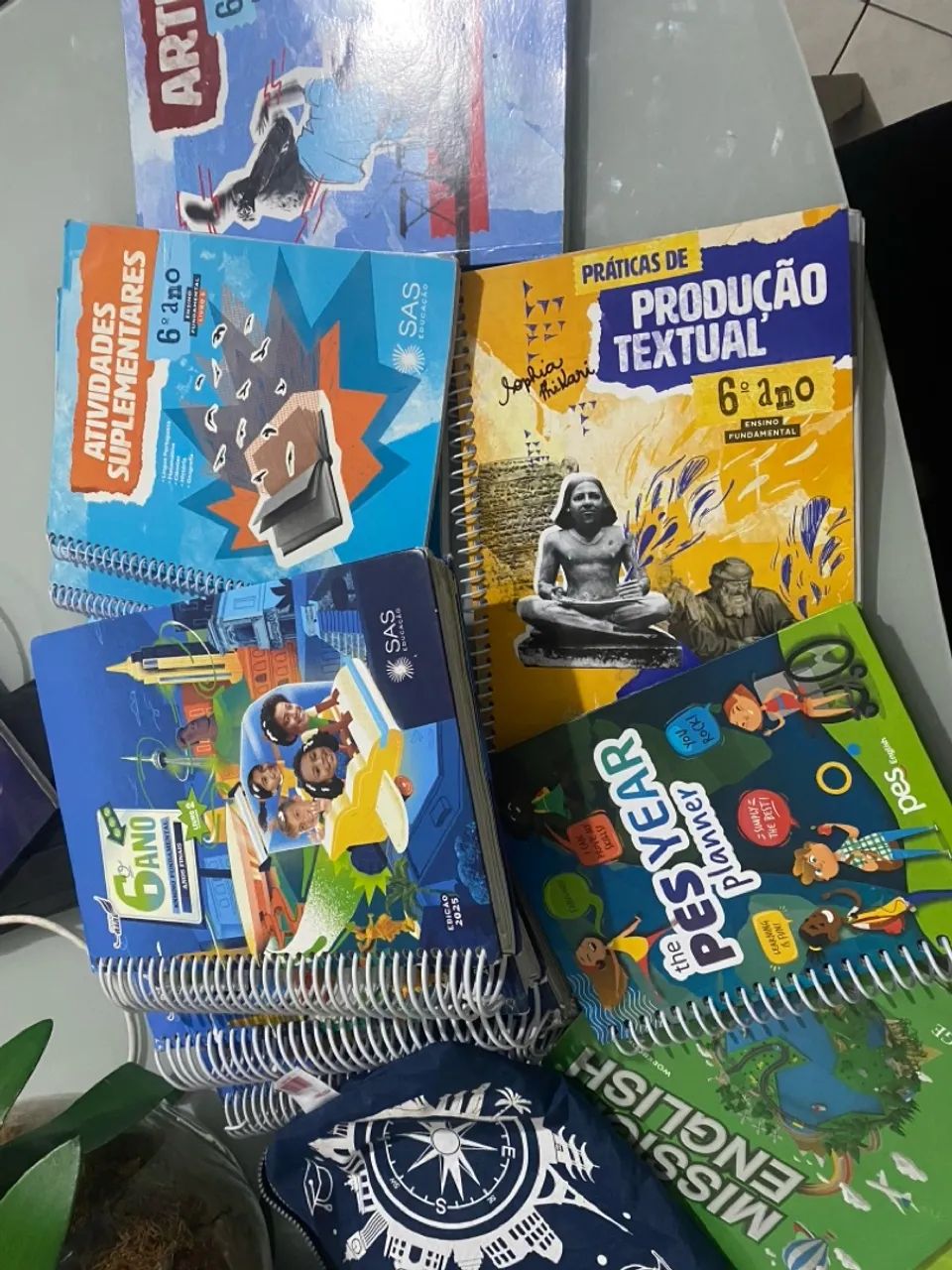 Livro 6 ano sistema SAS