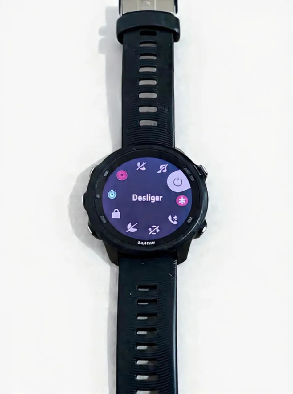 Garmin