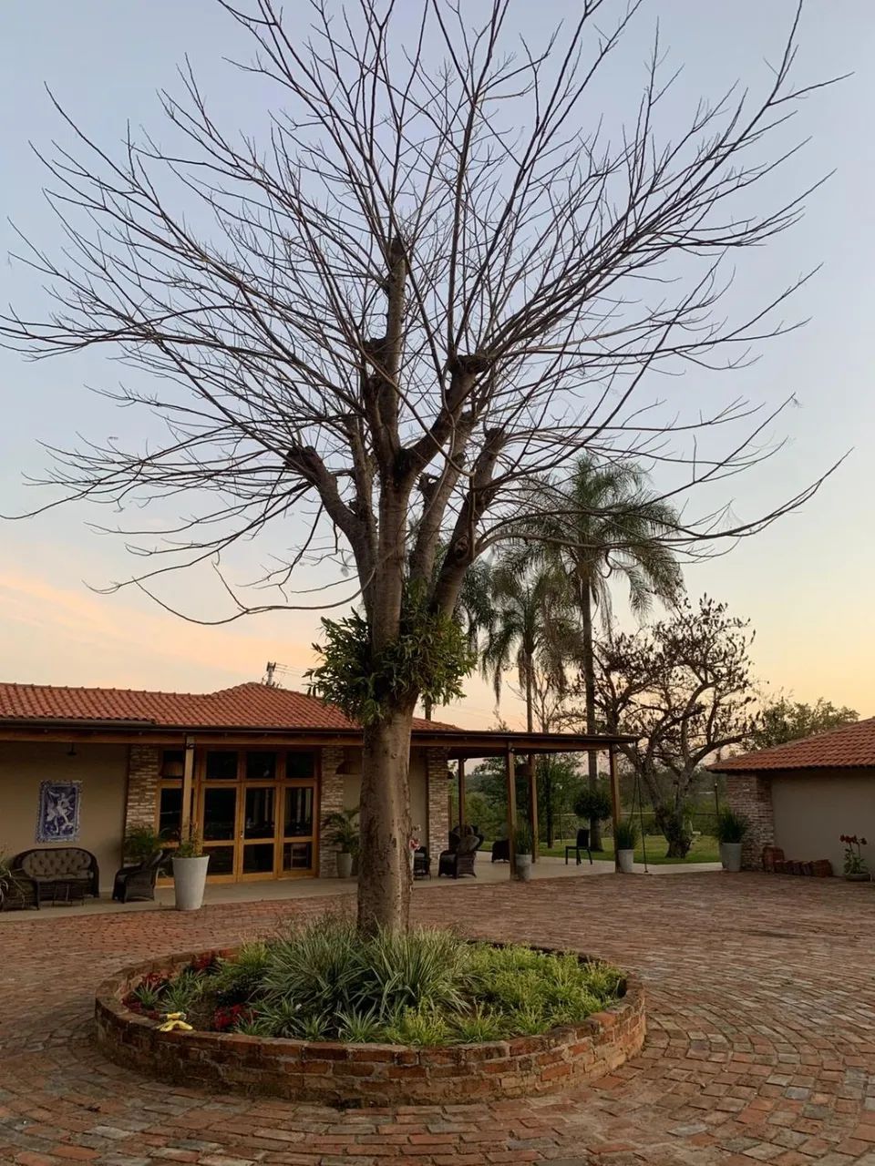 Fazenda Estilo Haras à Venda  Distrito de Ferraz  Rio Claro/SP - Foto 3