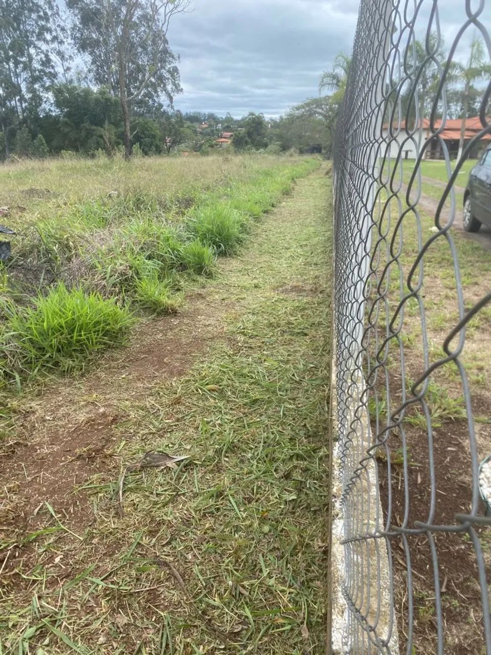Jardinagem em geral  - Foto 3
