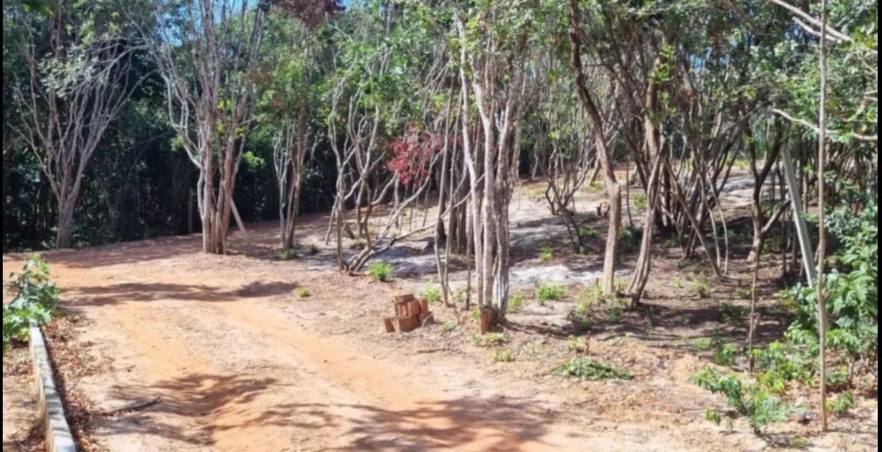 Lotes em Pipa - Foto 2