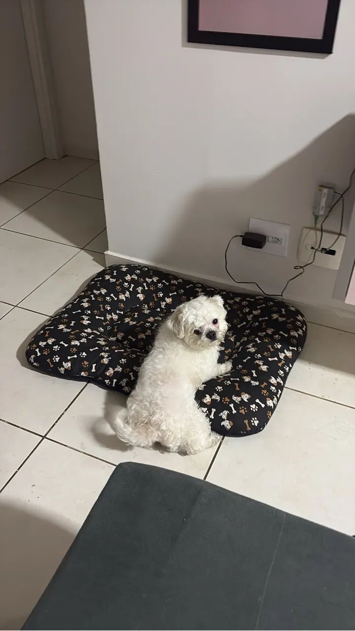Doação 