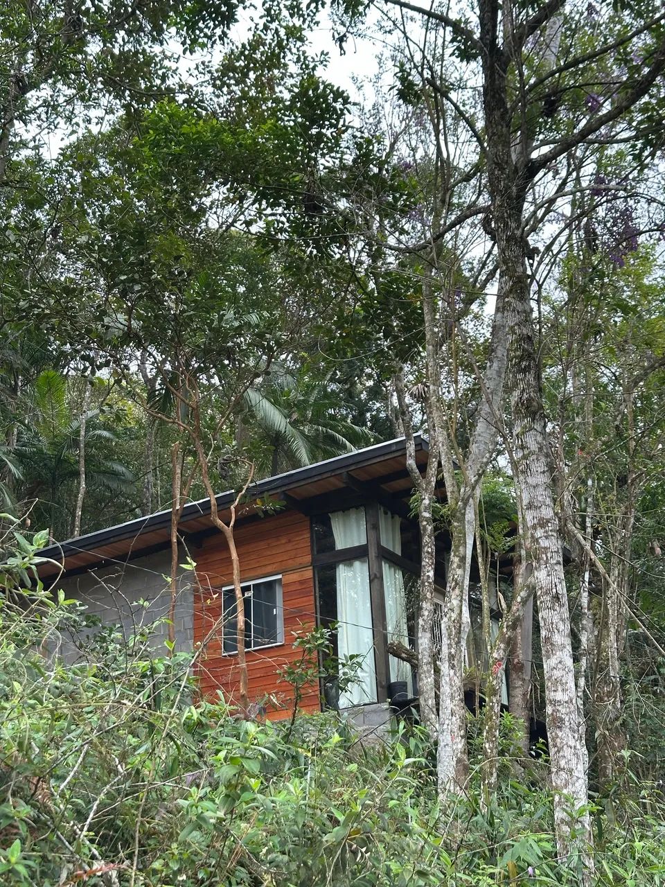 Sítio a venda em itapema !! - Foto 2