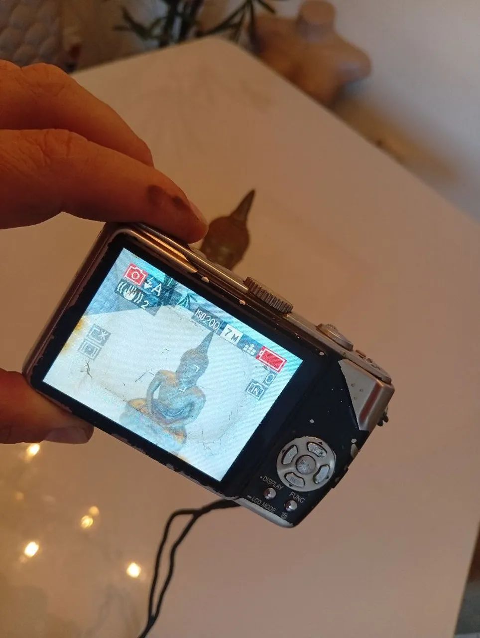 Panasonic DMC-TZ3 - Foto 5