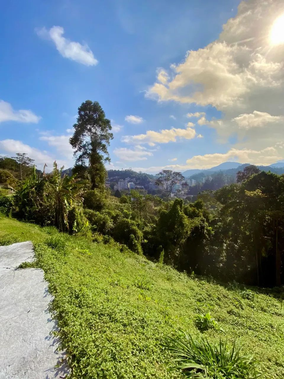 Terreno à venda, com 875m², no Centro - Foto 3