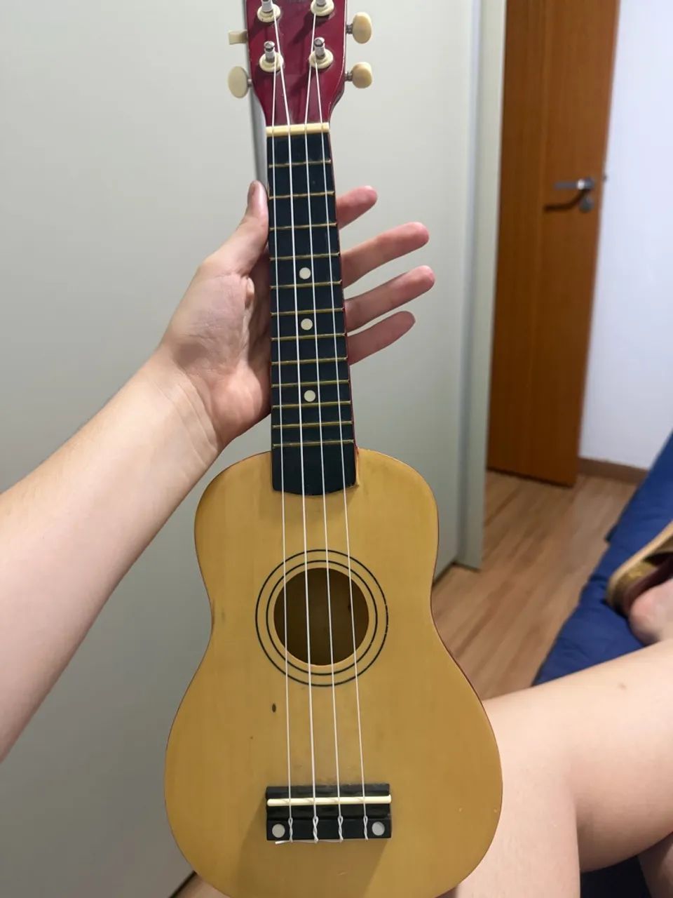 Ukulele 
