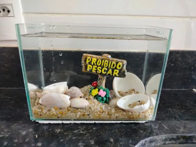 Aquario de 2 litros